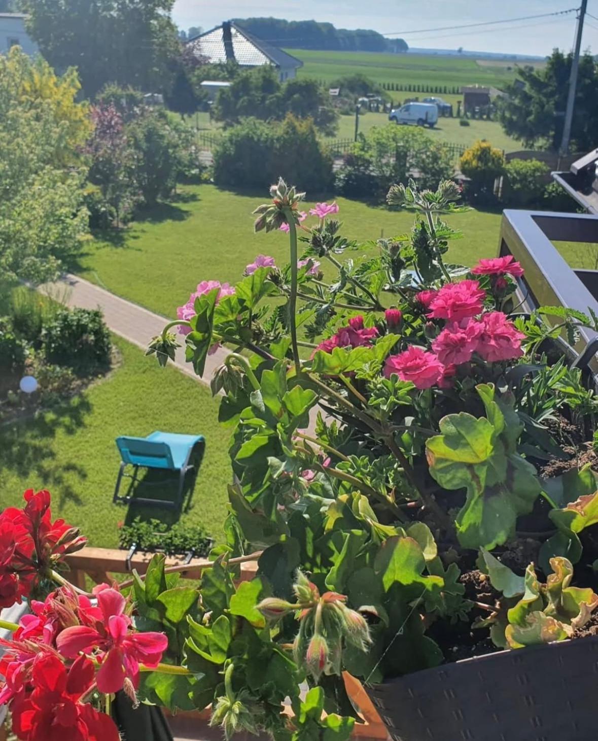 Apartamenty Na Baltyckiej Choczewo Kültér fotó